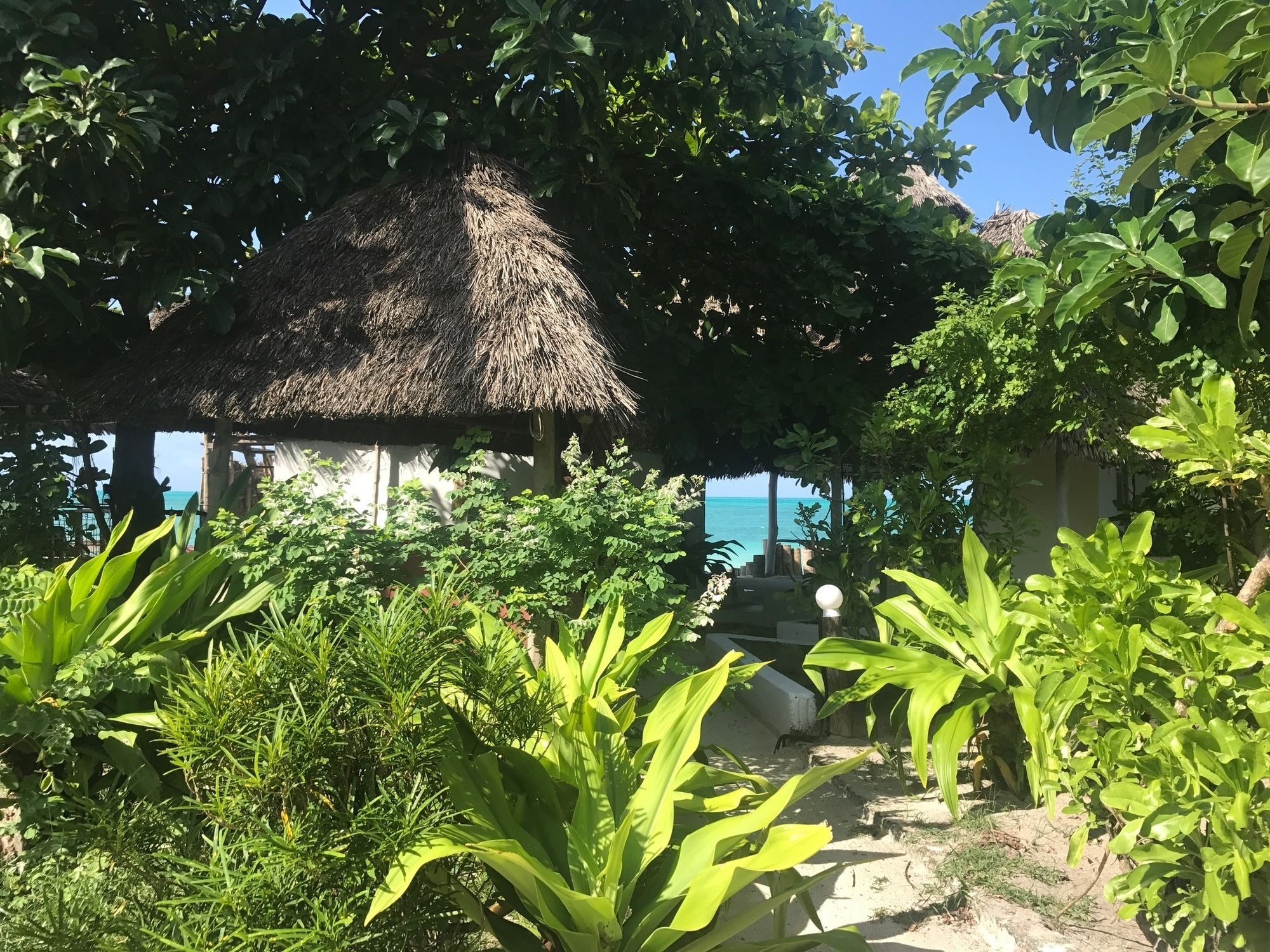 Garden Beach Bungalows Jambiani  Eksteriør bilde
